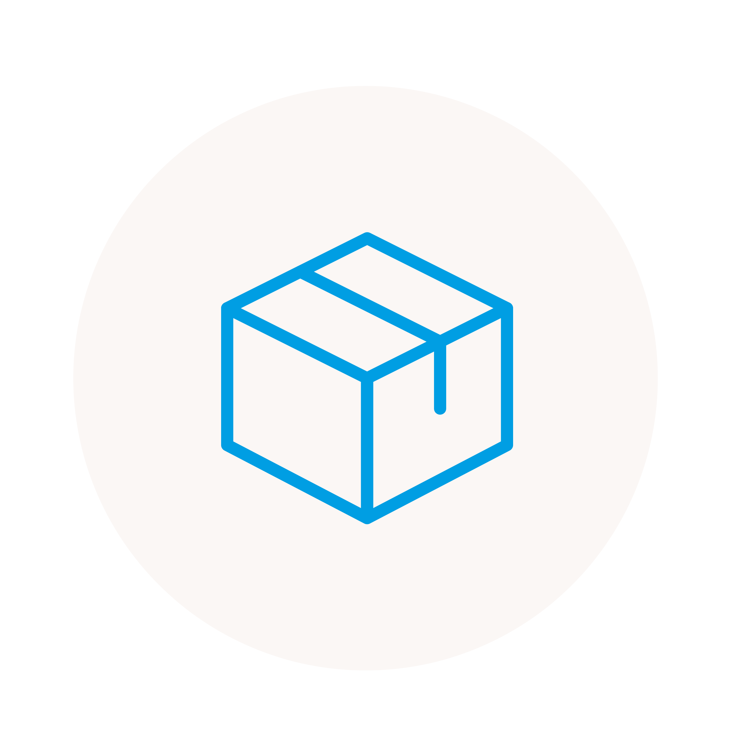 Package Icon