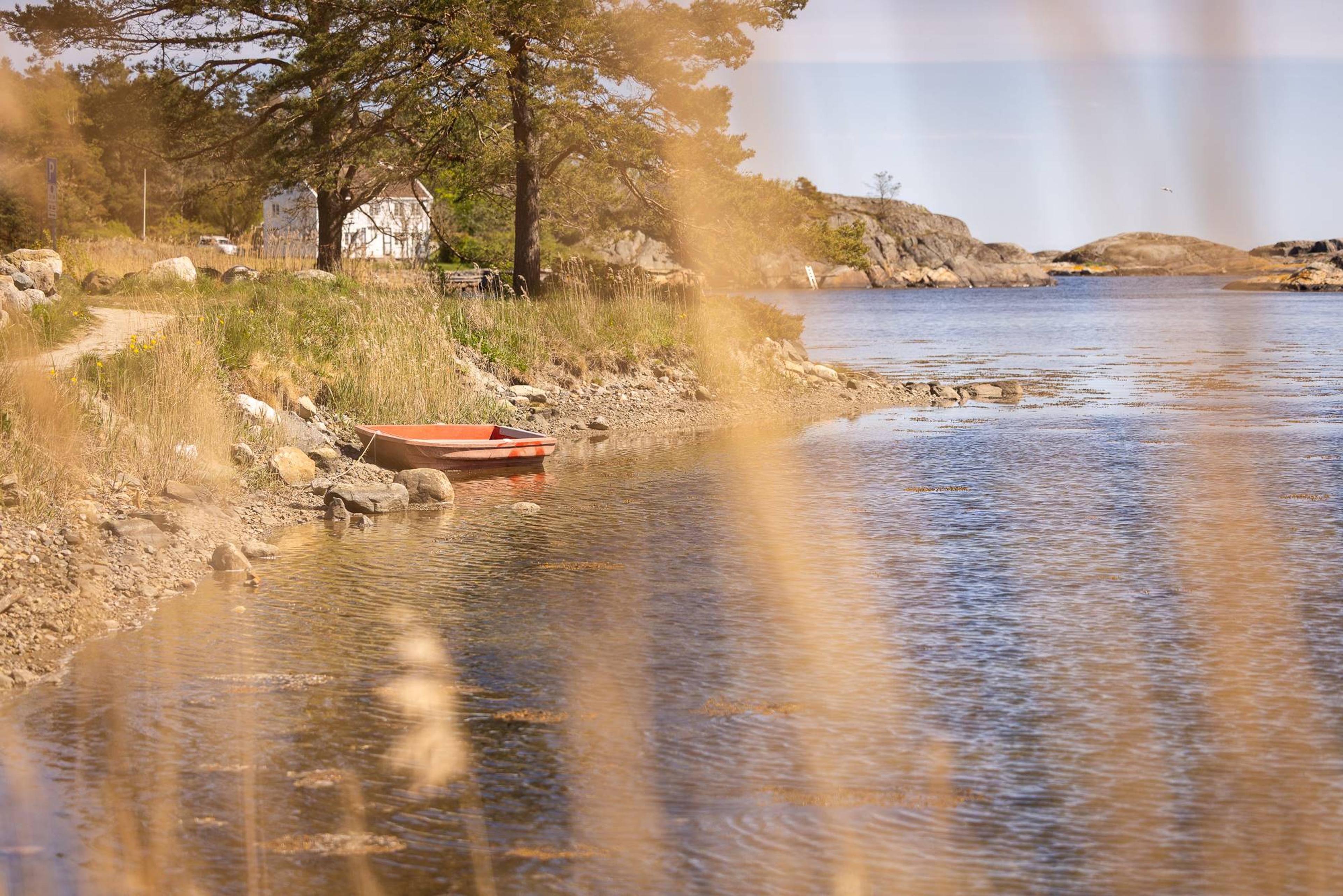 Naturbilde med strå i forgrunnen, vannkant og en båt som ligger fortøyd i steinene