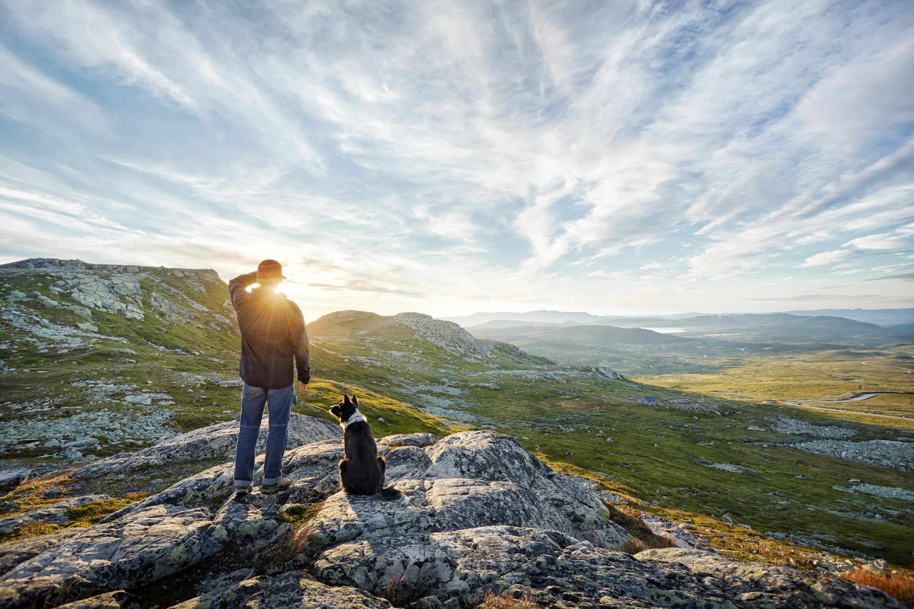 En person og en svart-hvit hund står på et steinete fjell og ser utover et vidstrakt landskap i lav kveldssol. Himmelen er blå med lange, lette skyer.