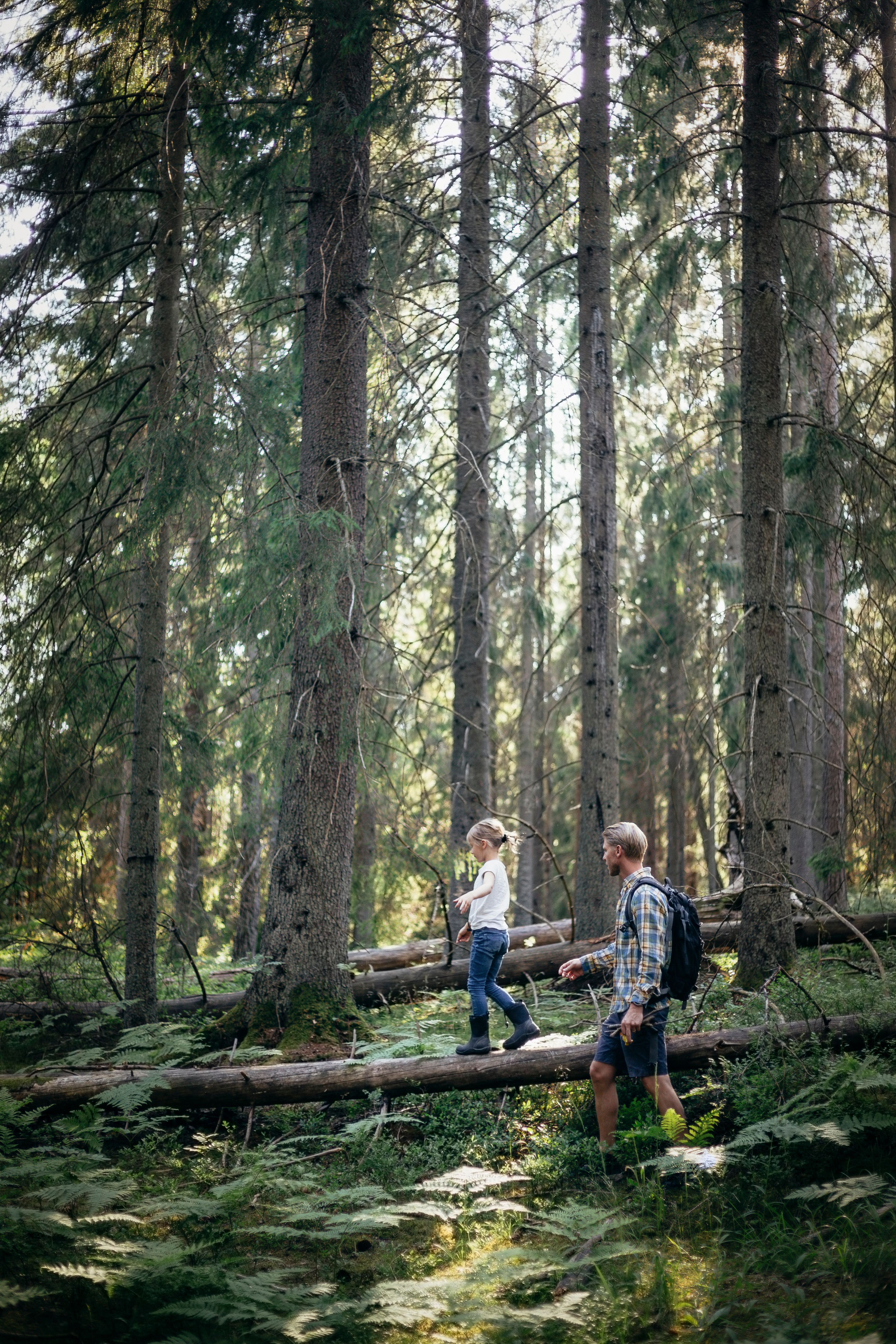 En jente balanserer på en fallen trestamme mens en mann med ryggsekk følger etter gjennom en tett, solbelyst barskog.