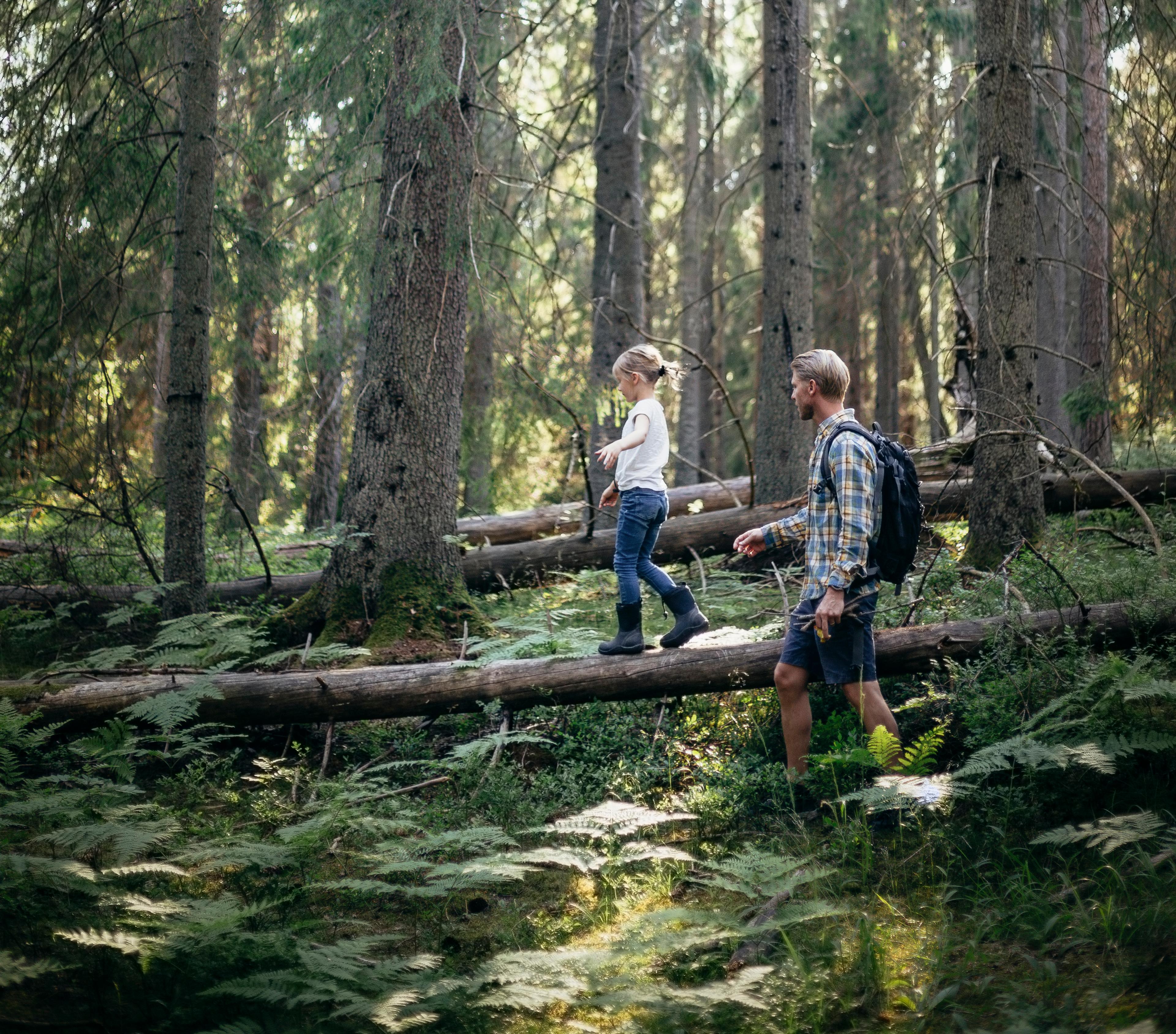 En jente balanserer på en fallen trestamme mens en mann med ryggsekk følger etter gjennom en tett, solbelyst barskog.