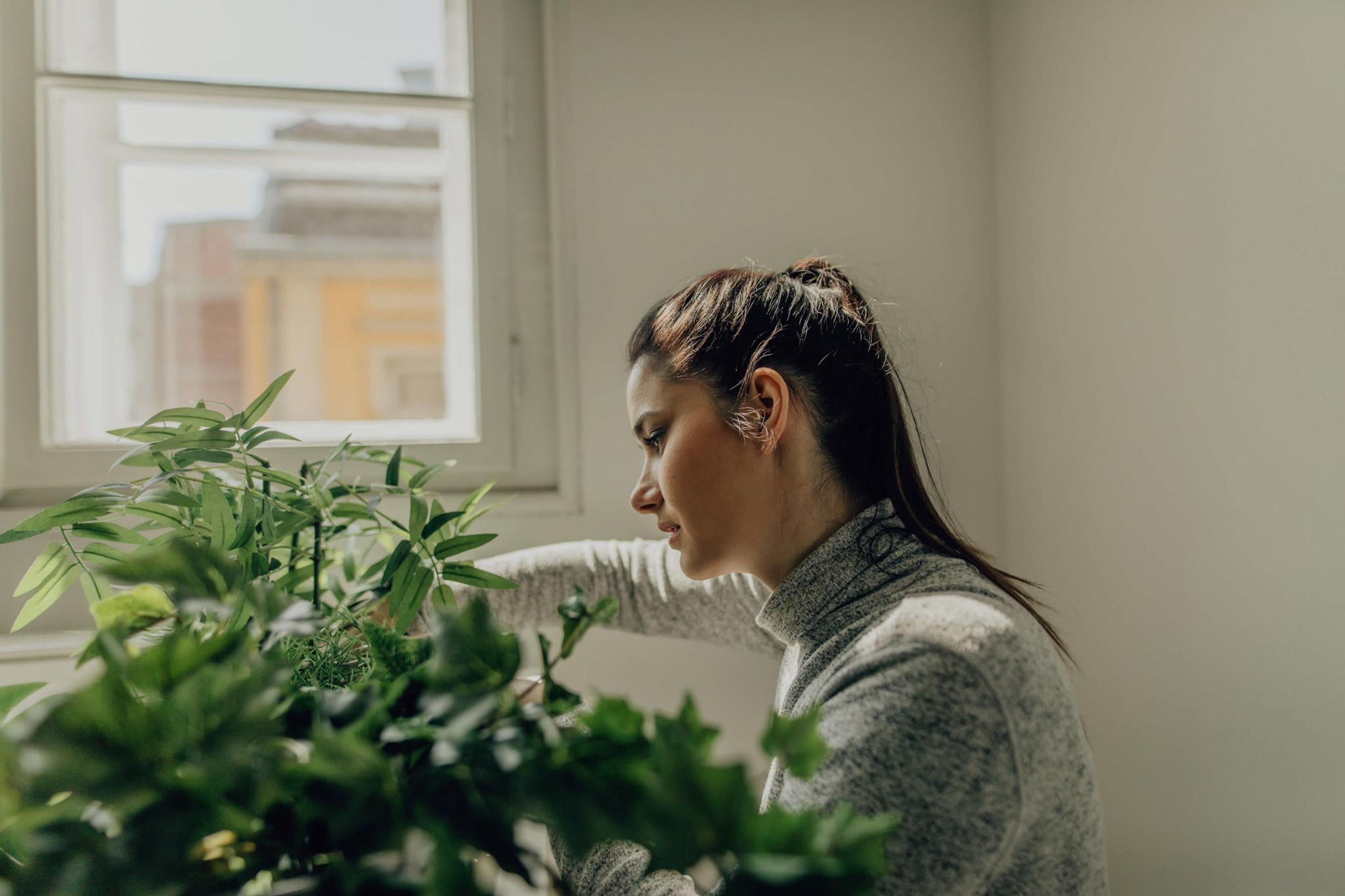 Kvinne som sitter i en stue delvis bak en grønn plante mens solen lyser inn i rommet