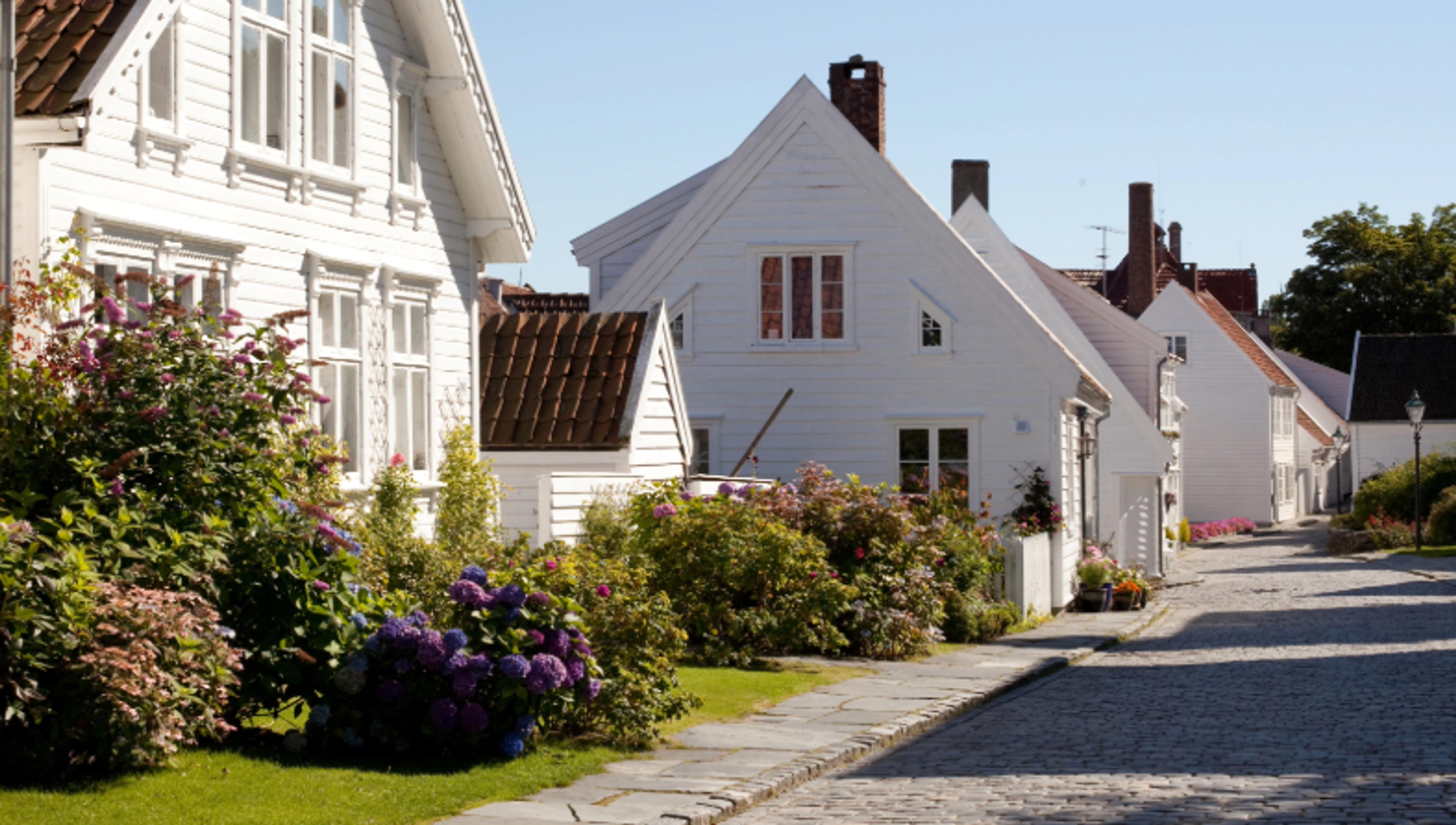 Brosteinsgate med hvitmalte trehus og frodige hager fulle av blomster i solskinn.