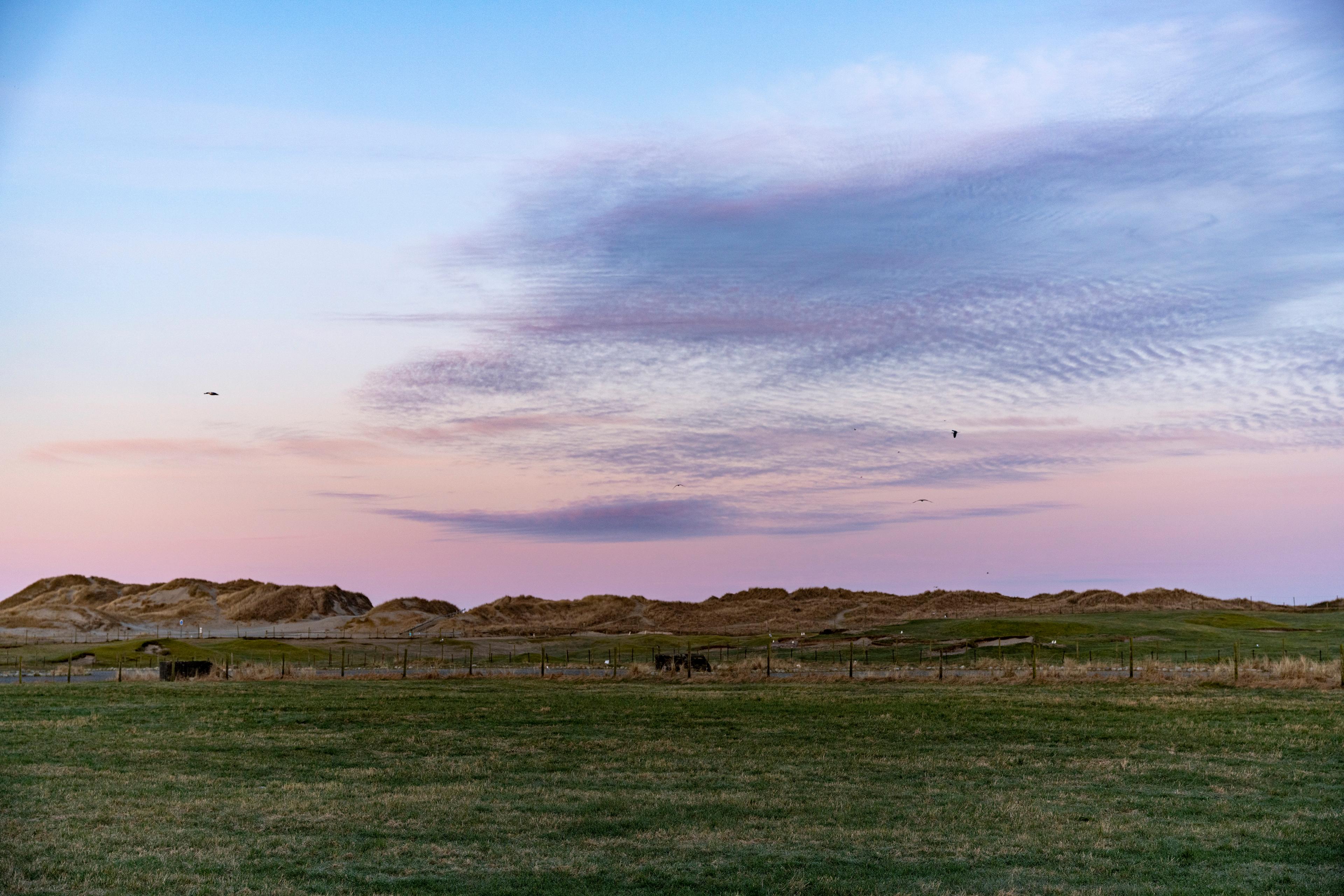 Grønt gressland og lave sanddyner under en vidstrakt himmel med rosa og blå kveldsskyer. Noen fugler flyr i det fjerne.