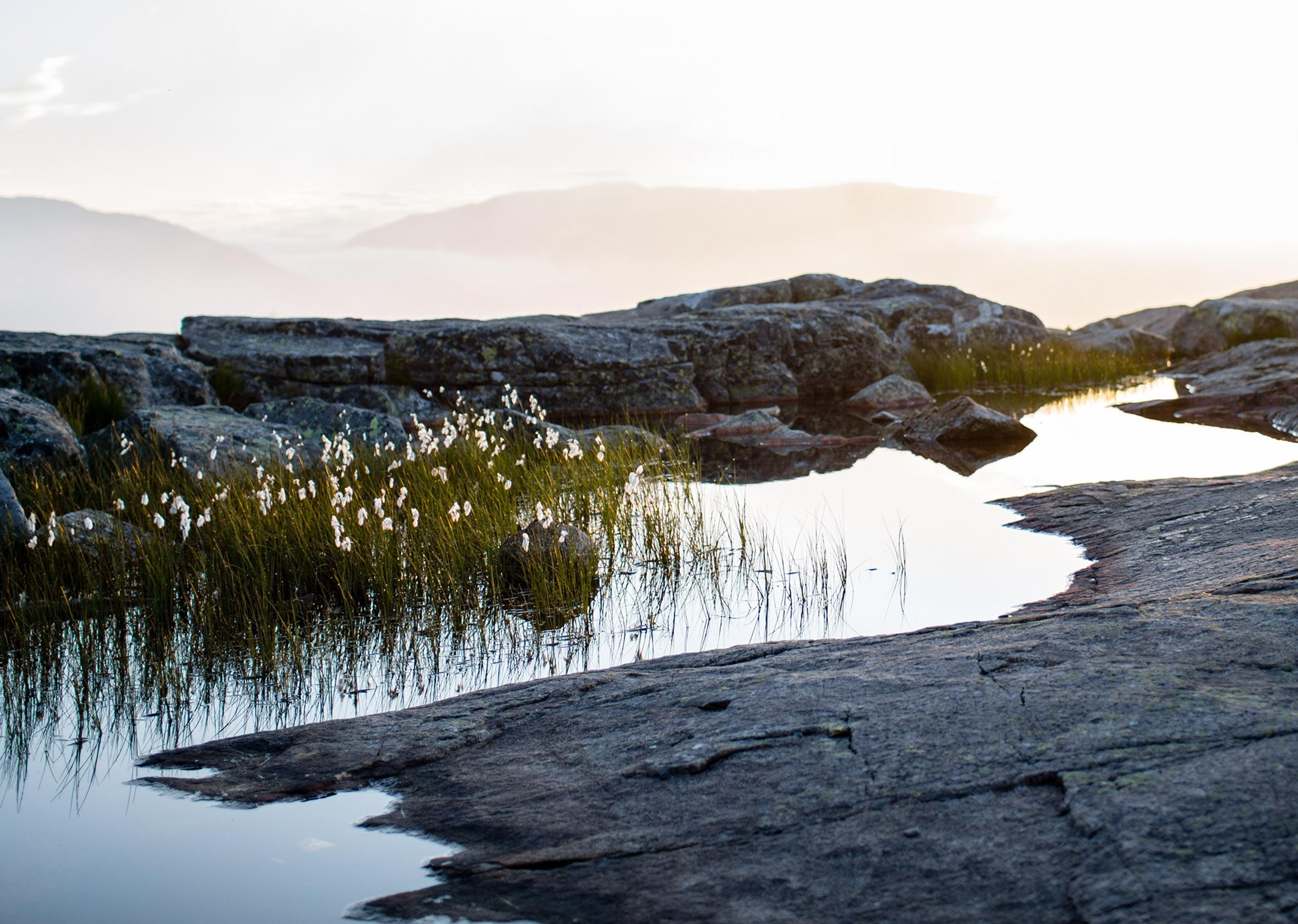 En person med ryggsekk står på et steinete fjellplatå med små vannspeil og myrull, vendt mot sollyset og fjerne fjell.