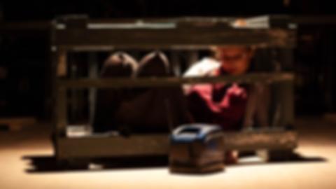 Julie in a wodden crate, watching a small TV through the slats