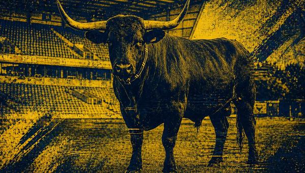 What A Ride. I Want Another Go.