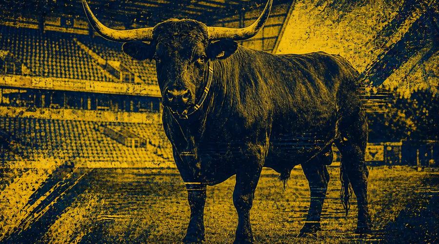 What A Ride. I Want Another Go.