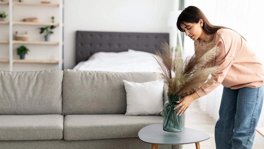 plantas para decoração