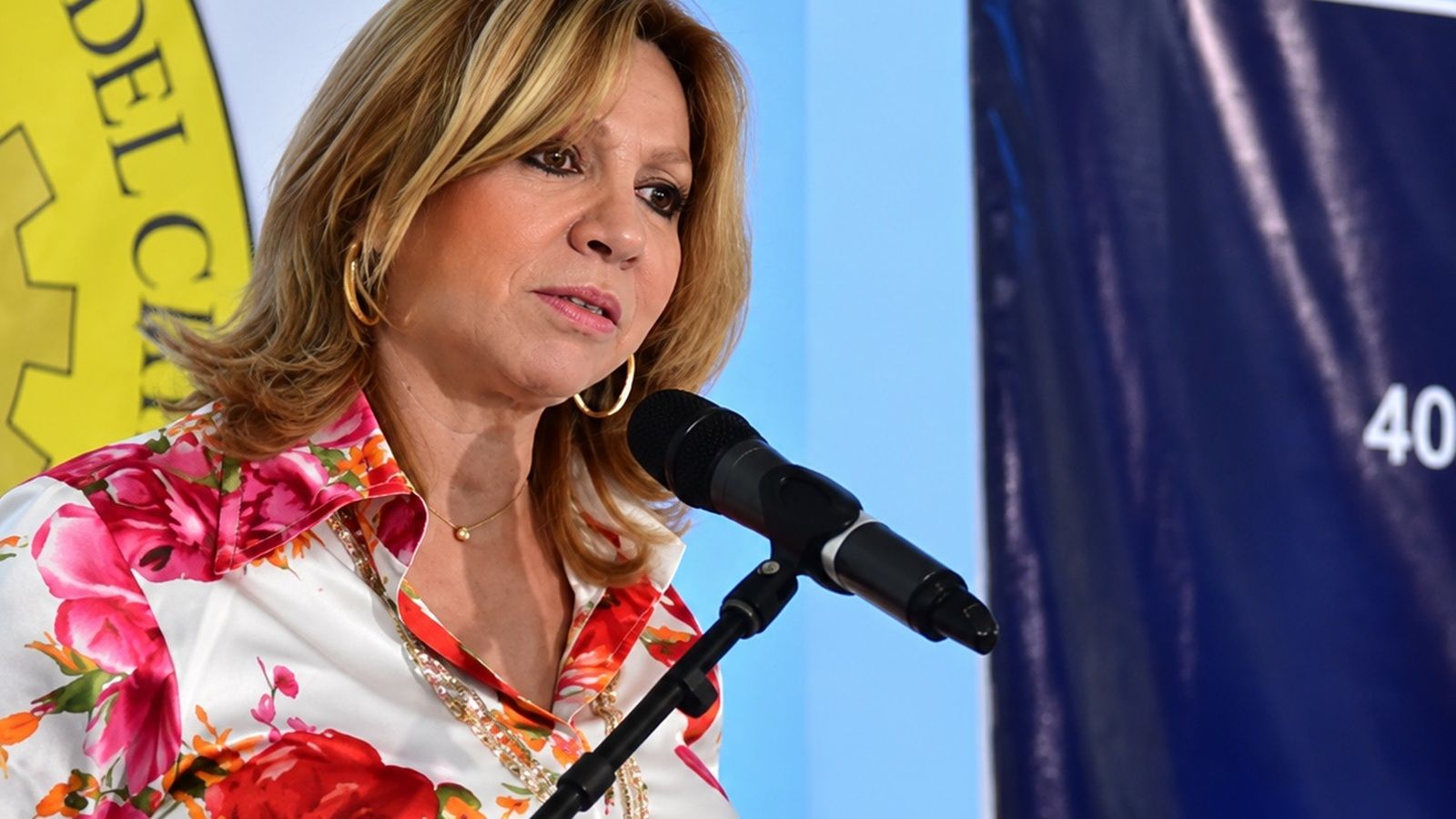 Silvia Gette hablando frente a un micrófono durante un acto institucional