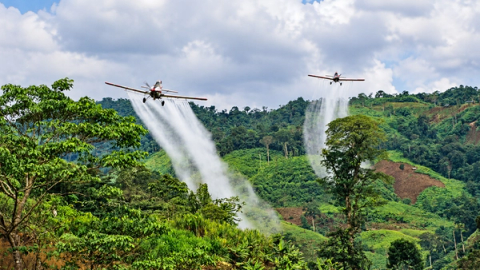 El Gobierno presentó sus argumentos frente a la suspensión judicial del plan piloto de aspersión aérea contra cultivos de coca en Putumayo.