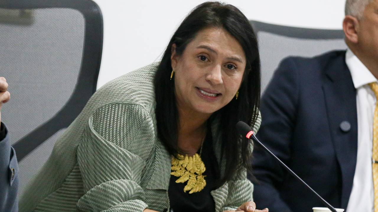 La ministra de las Culturas, Paola Holguín, habla frente a un micrófono en una sesión.