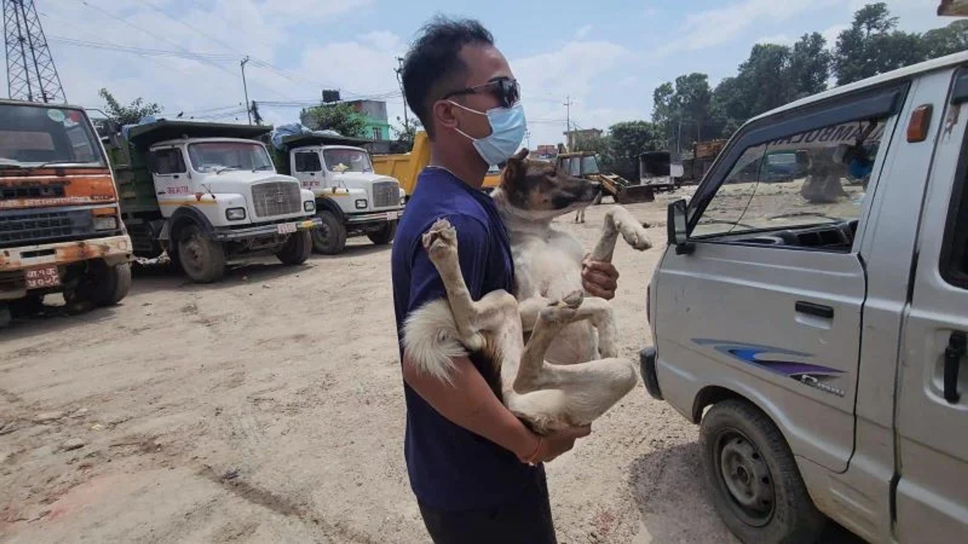 Saman from team Nepal during the rescue of Simba, a street dog who lives at the Teku garbage dump 