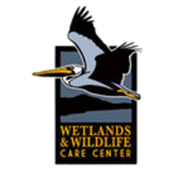 Wetlands