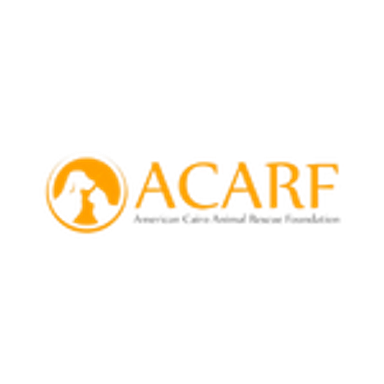 Acarf
