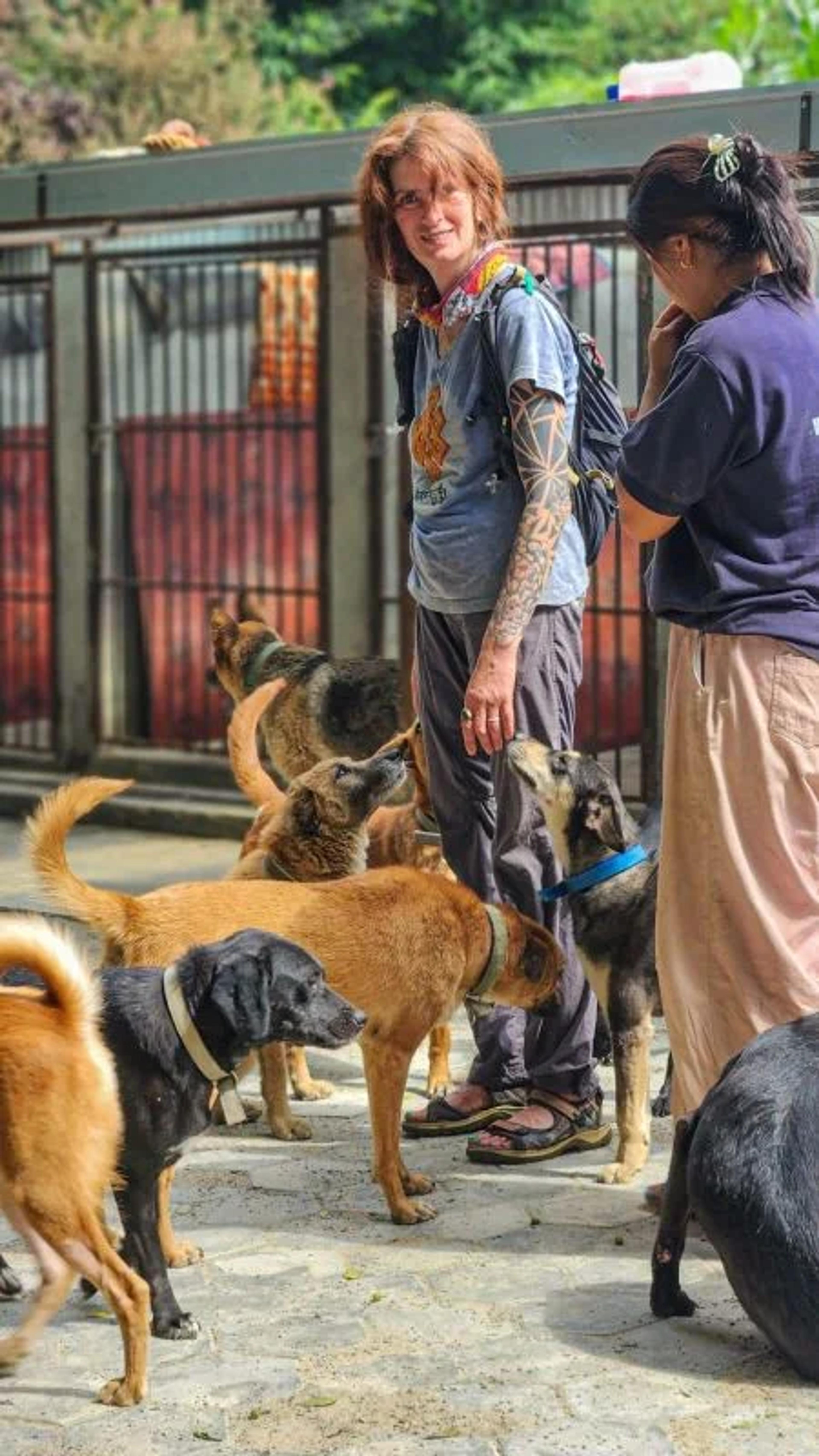  Dr. Ekaterina Boyko checking the rescue dogs at MMF Nepal care center 