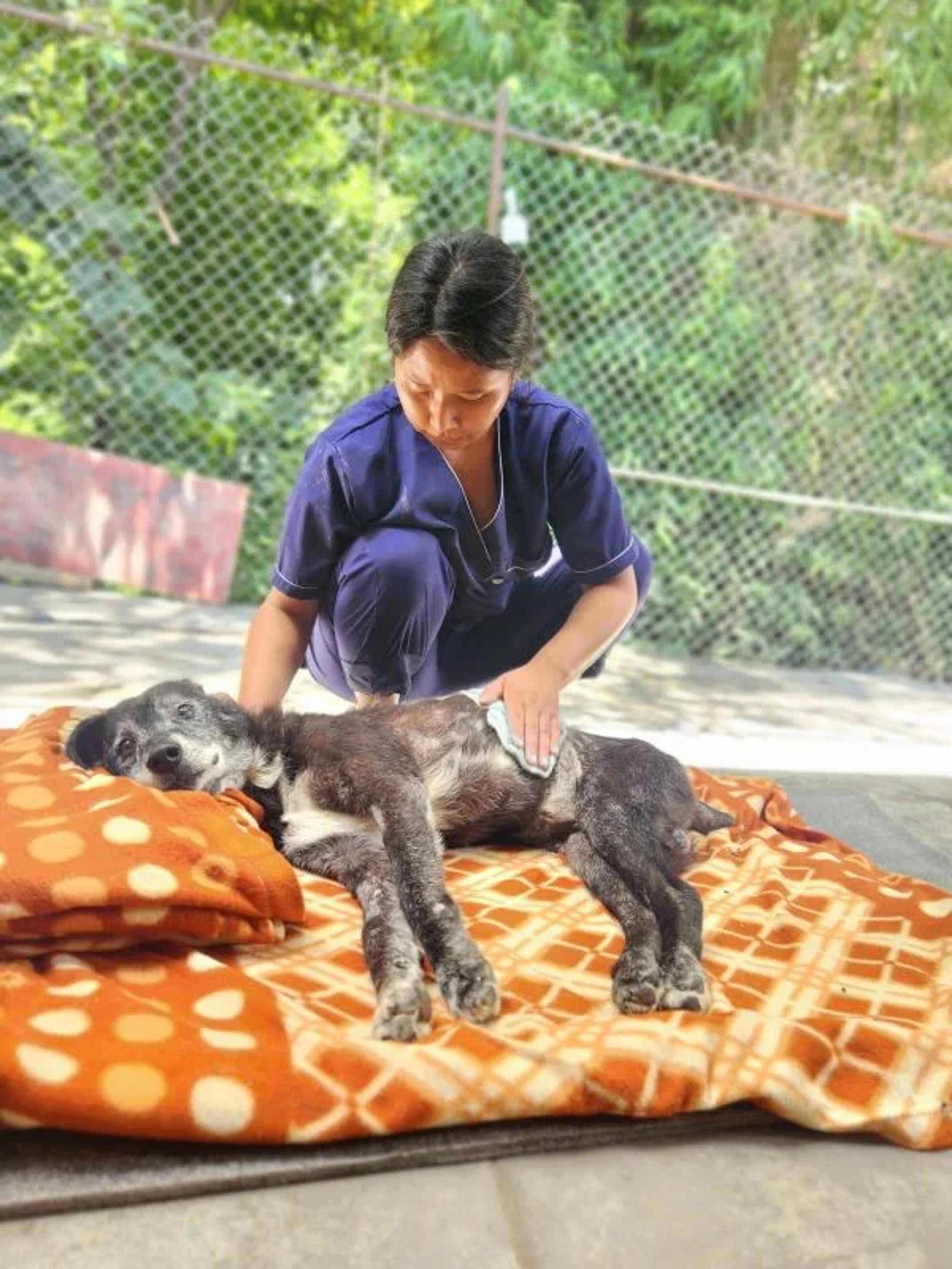  Junu providing hospice care for Rocky 