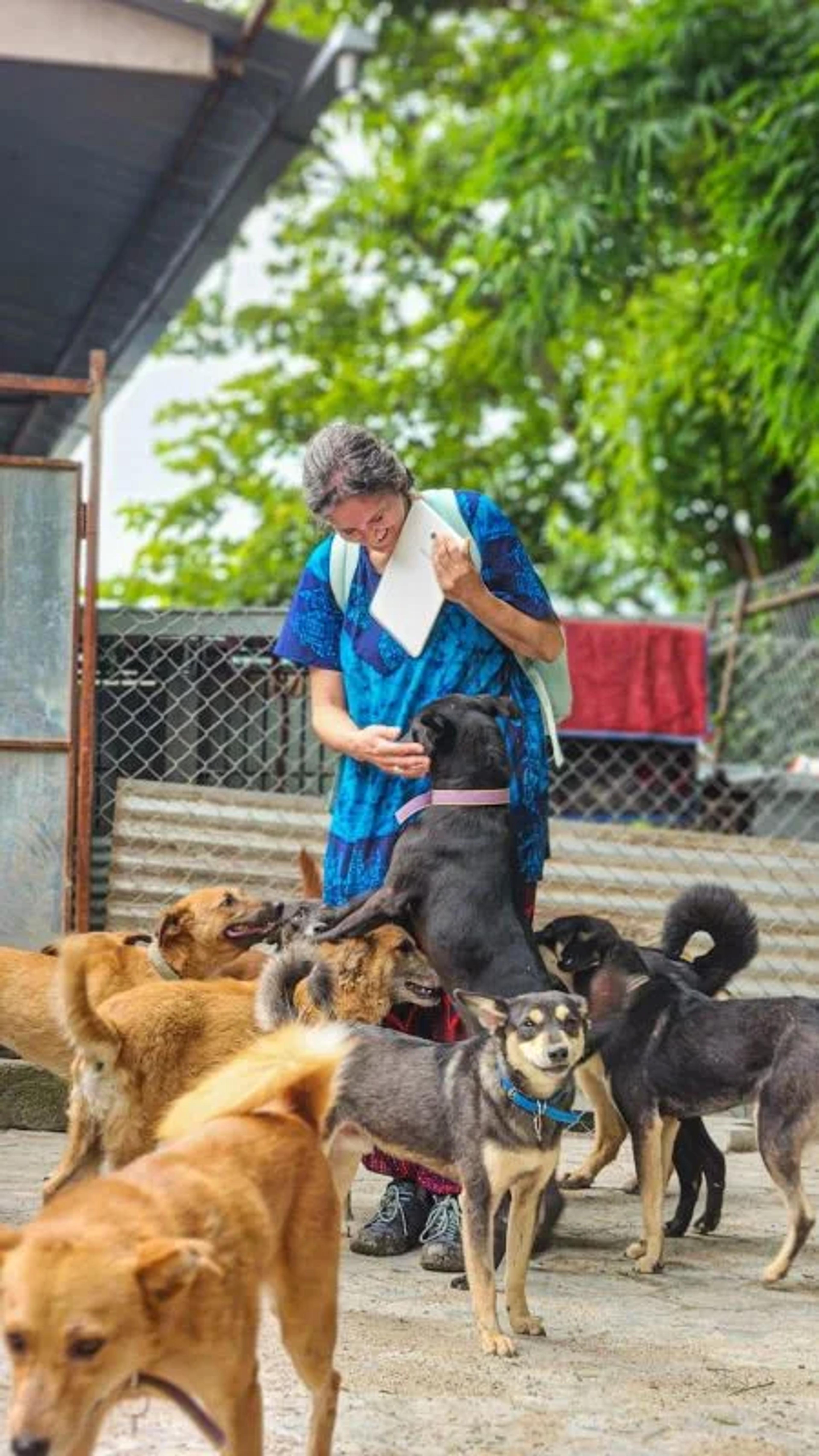 Volunteer spending the day with our rescue babies in Nepal