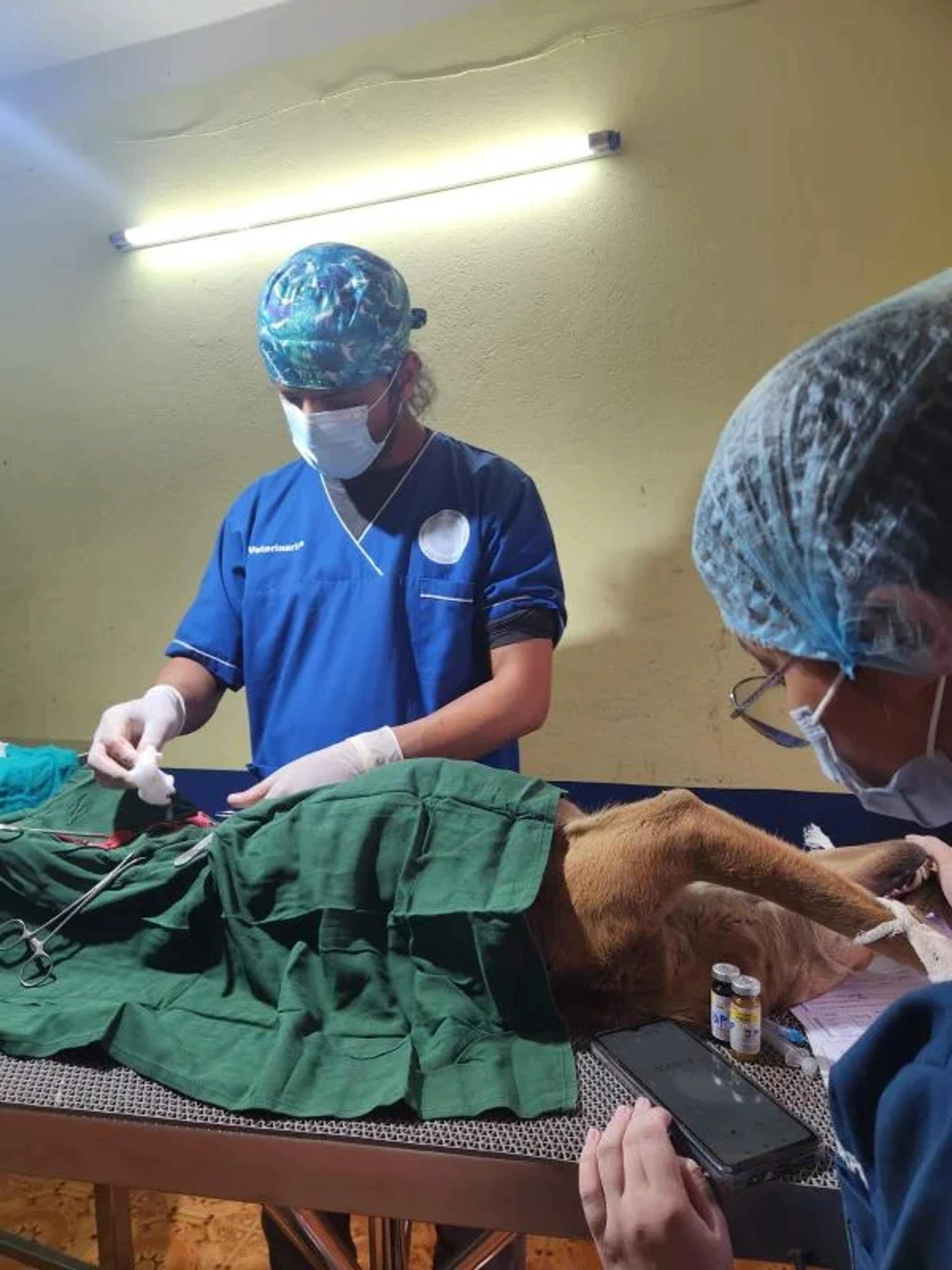 Sterilization