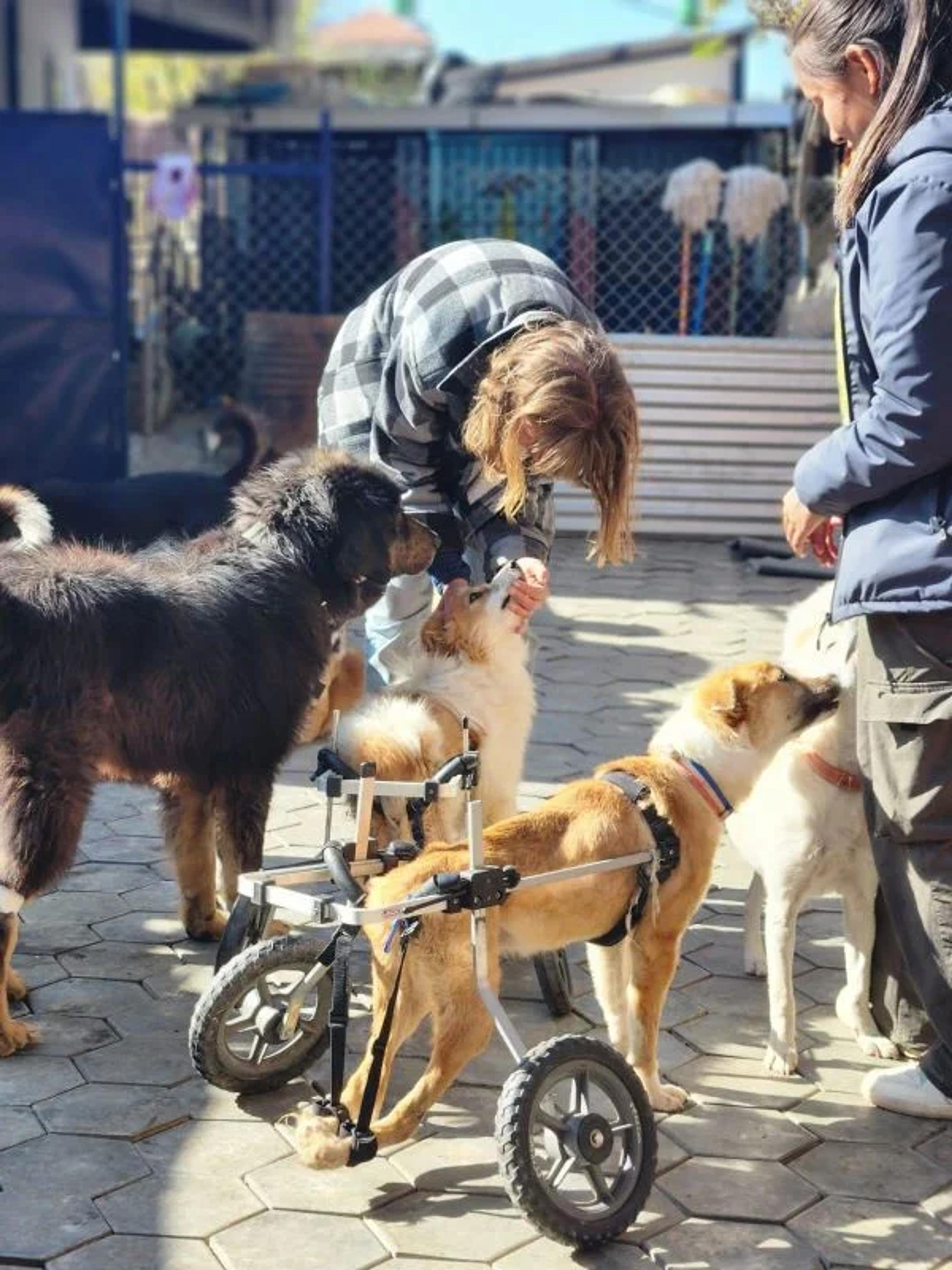 Visitors at Kathmandu Care Center