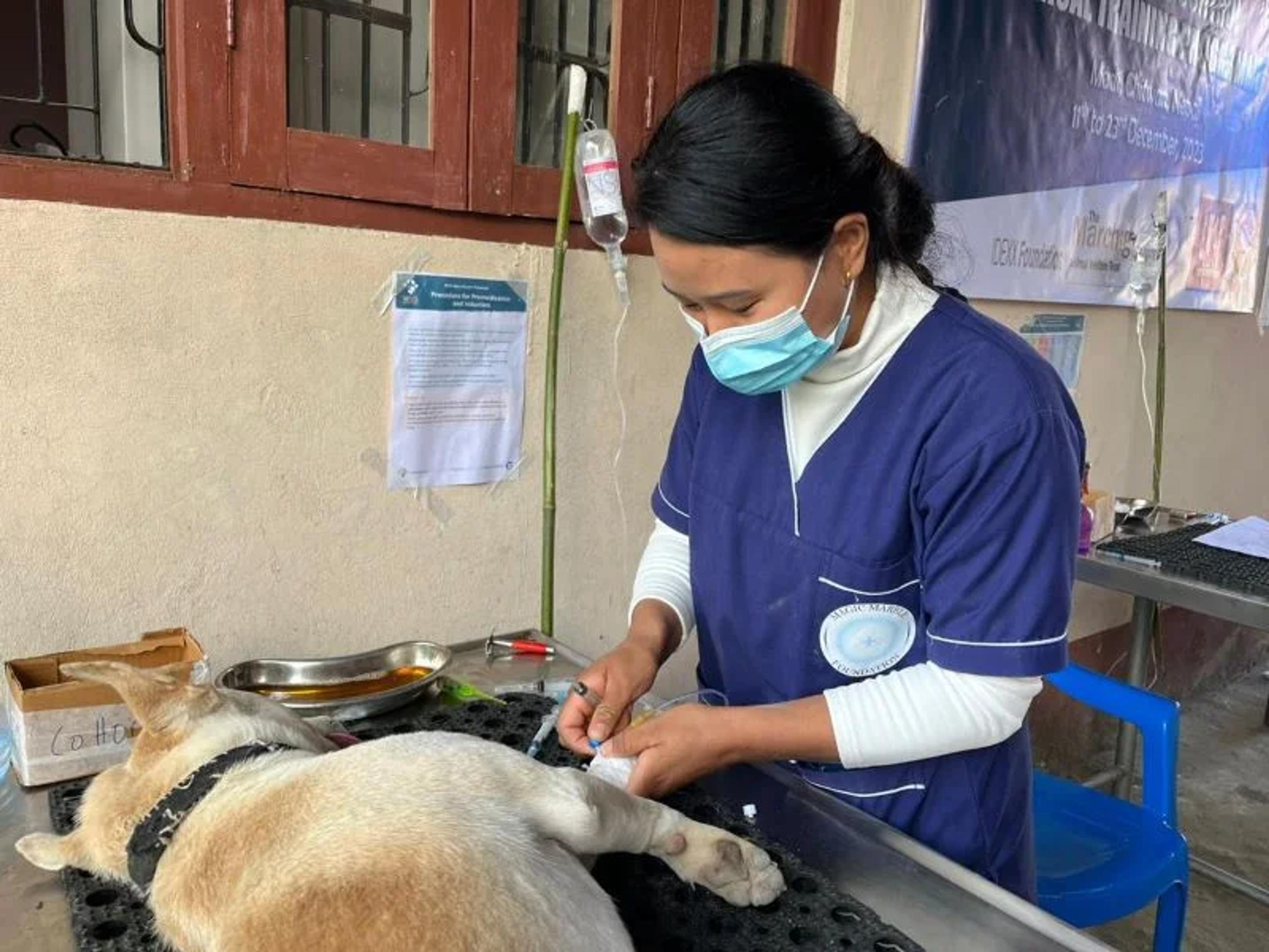 Sterilization Training 
