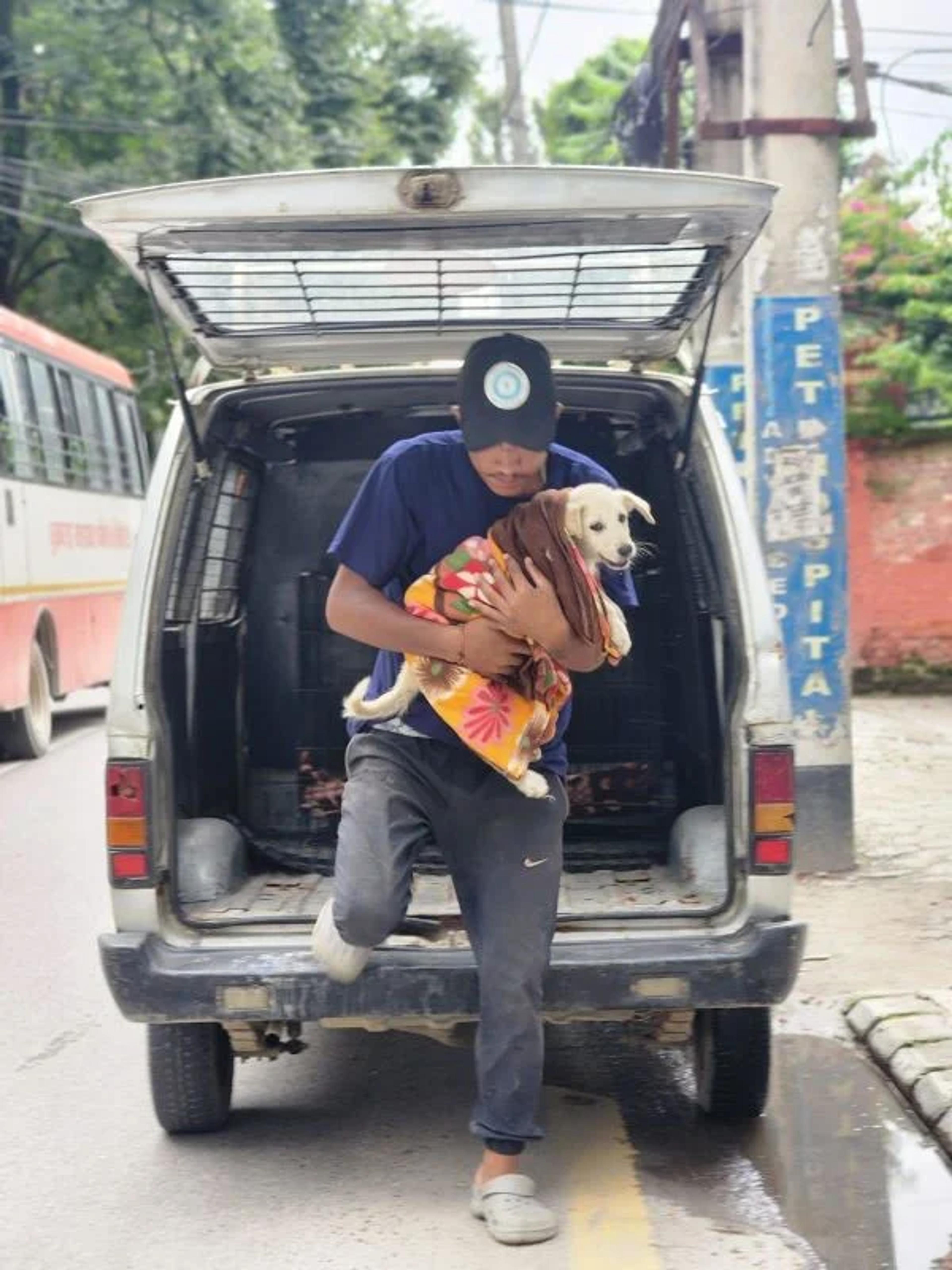  Aayush during the rescue of Winter, a puppy hit by a school bus. Winter survived and is now available for adoption!