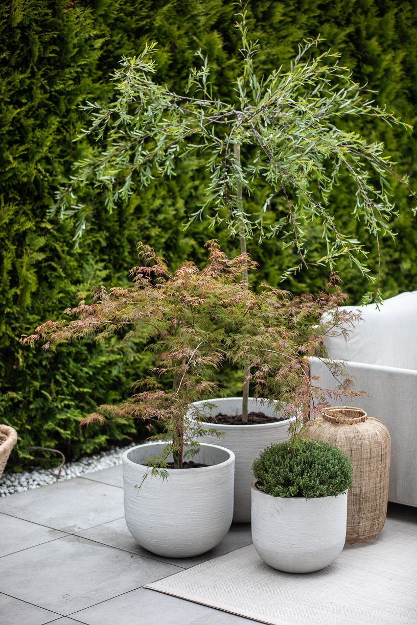 En oase i hagen – bilde 6