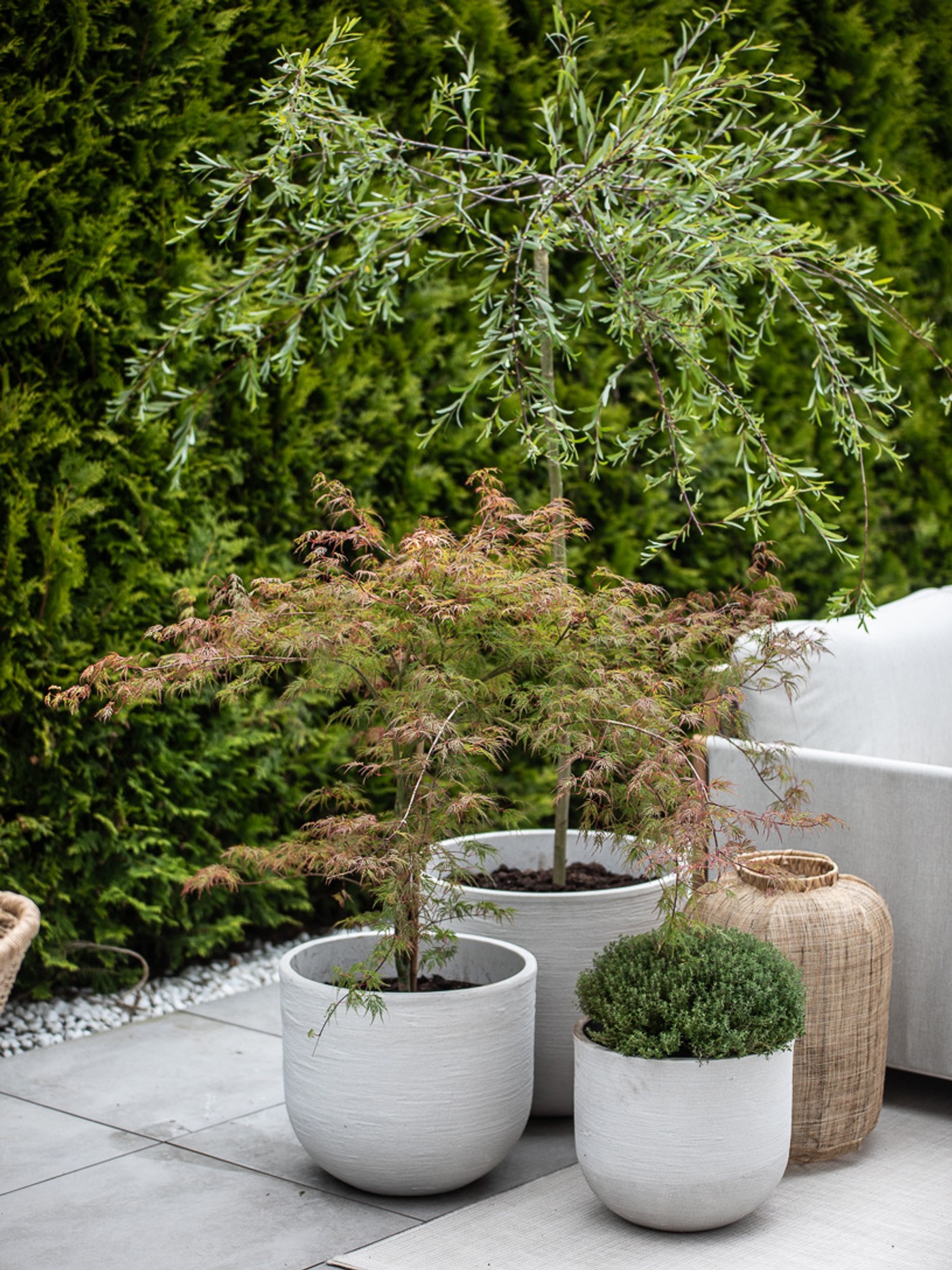 En oase i hagen – bilde 6