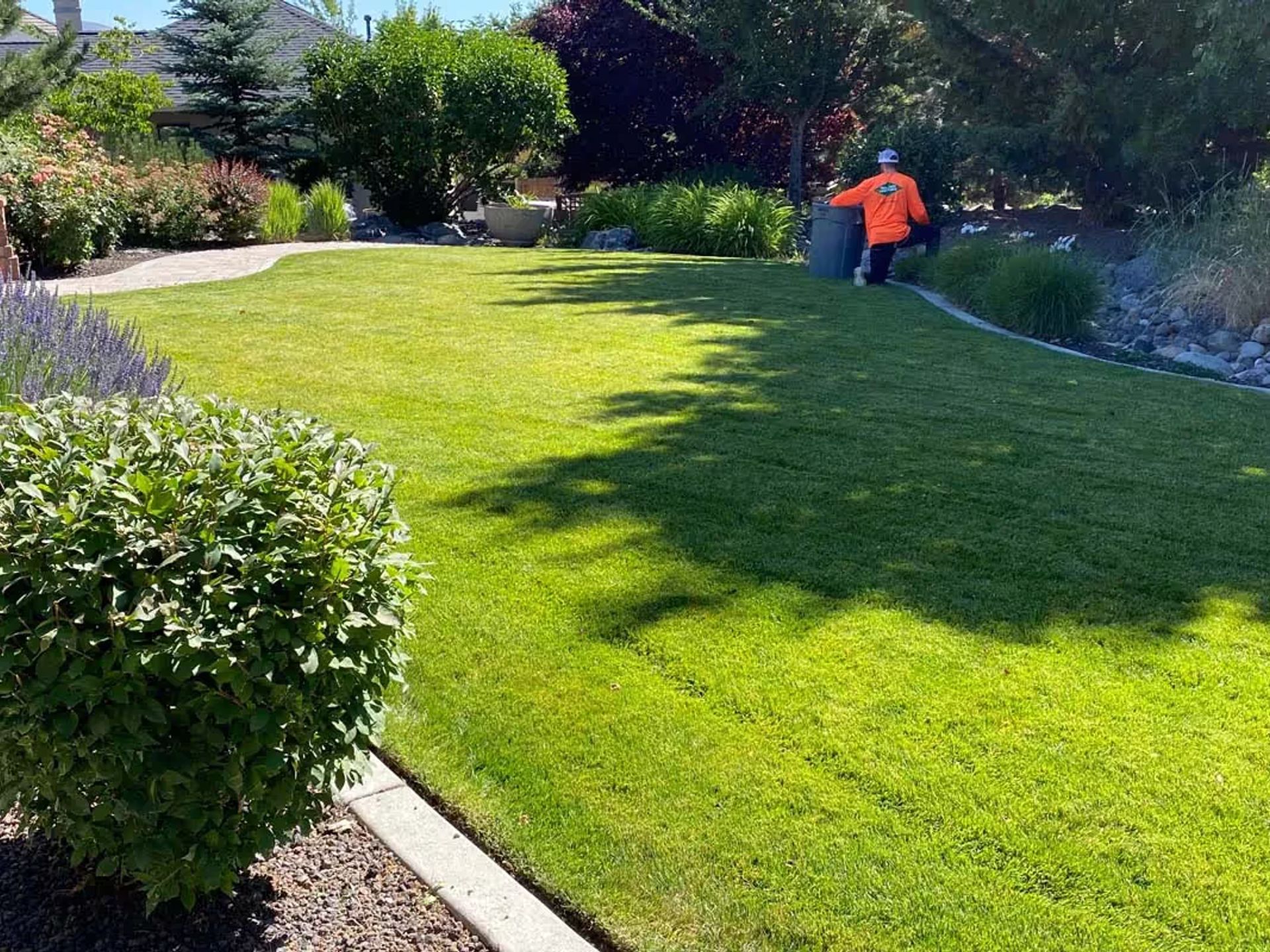 Bush Trimming