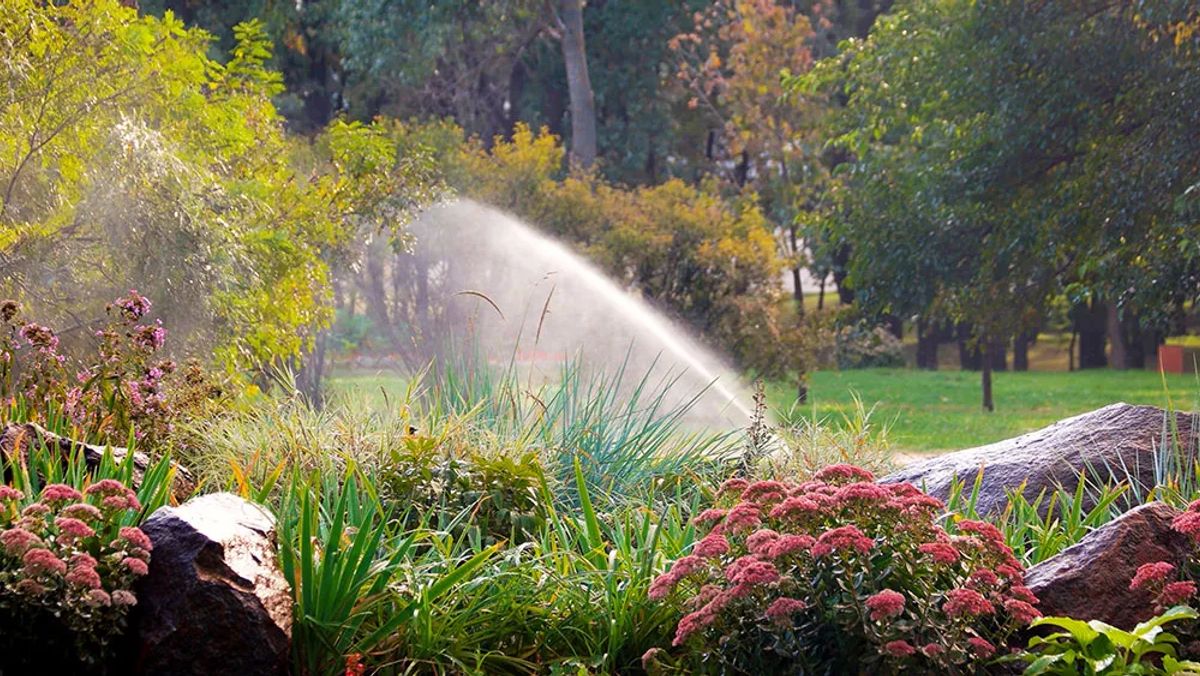 Sprinkler Check up and Adjustment