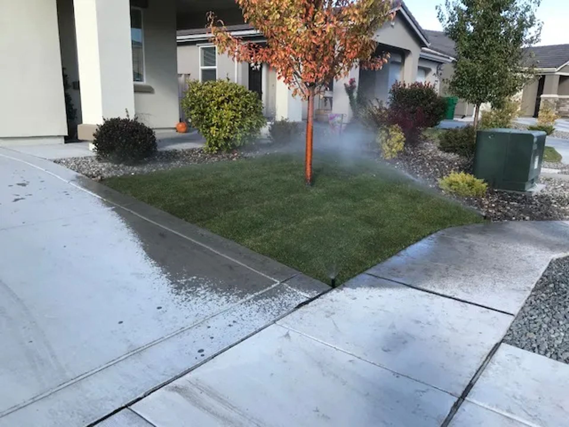 Sprinkler Check up and Adjustment