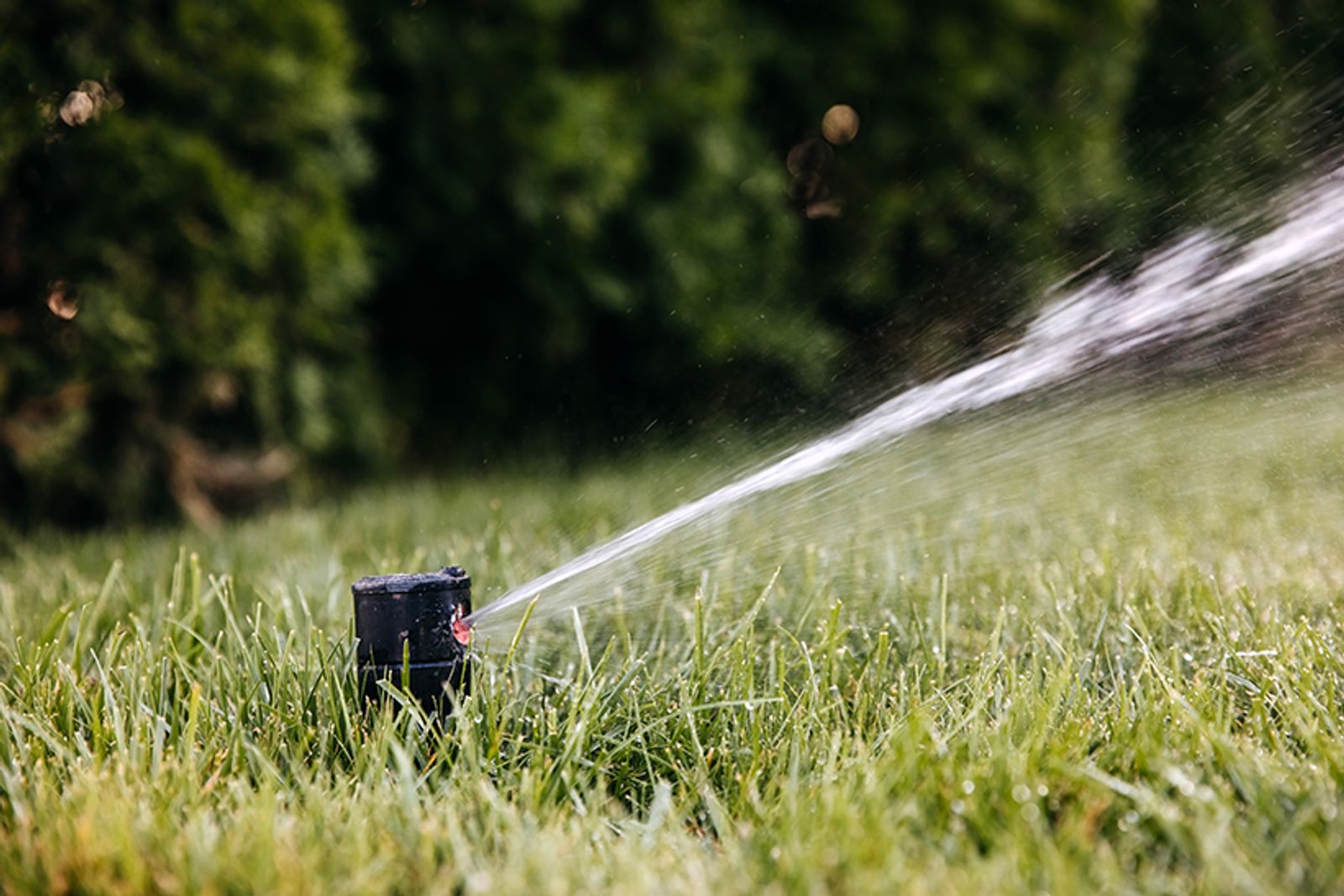 7 Reasons Why Installing a Lawn Sprinkler System in Reno, NV Will Transform Your Yard