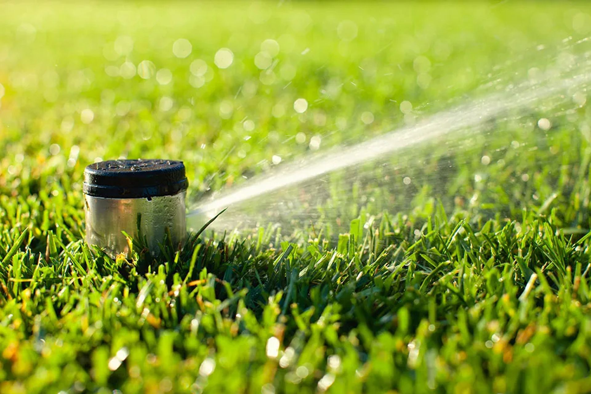 Sprinkler Winterization