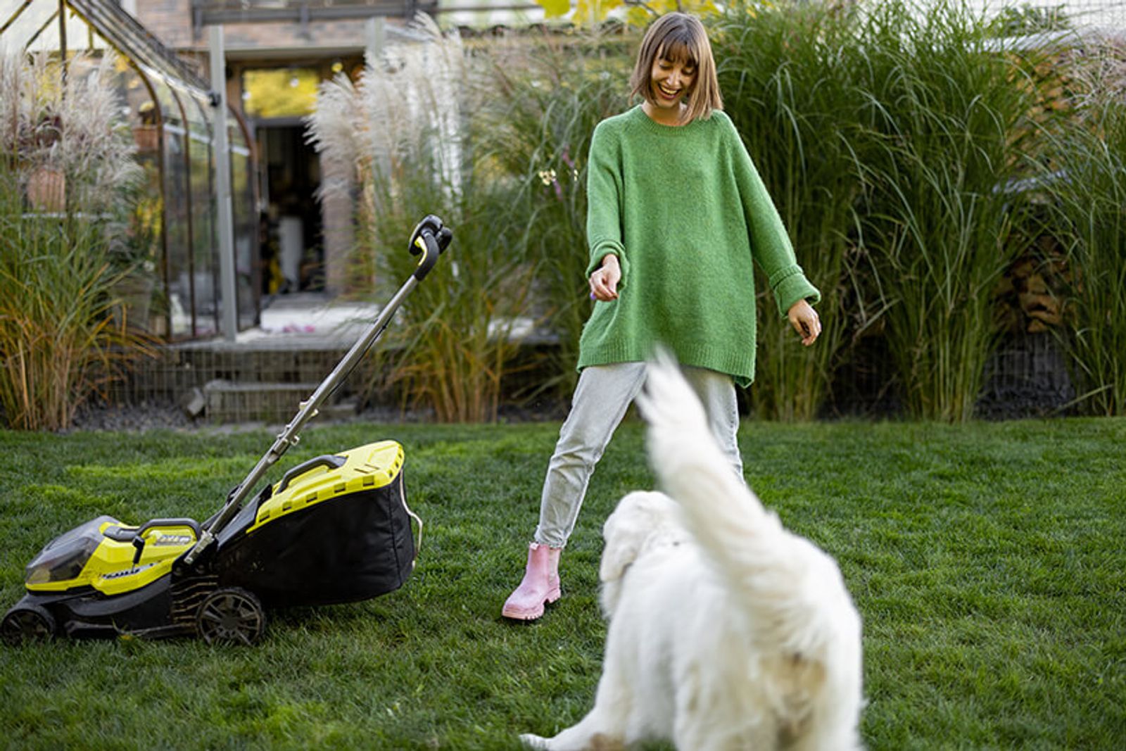 Pet-Friendly Lawn Care in Reno: A Guide for Dog and Cat Owners