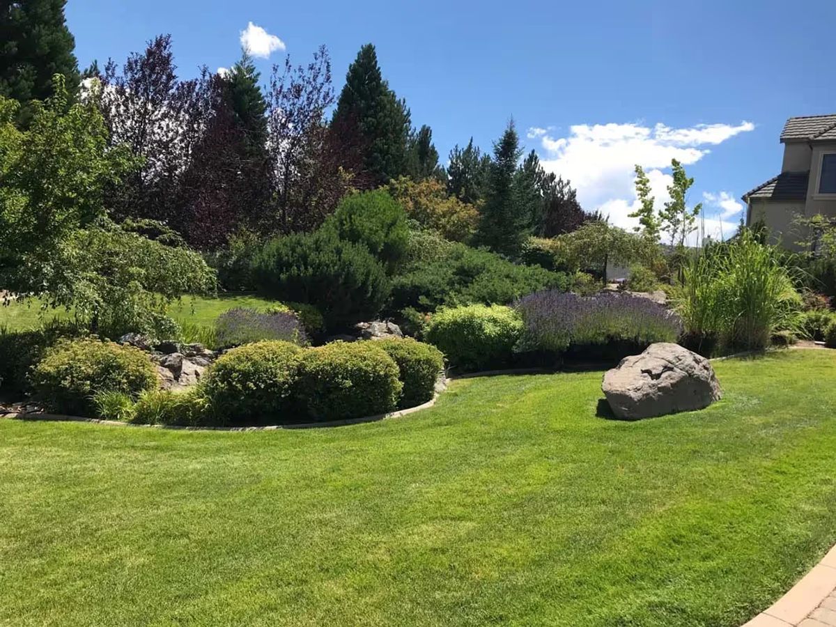 Landscaping