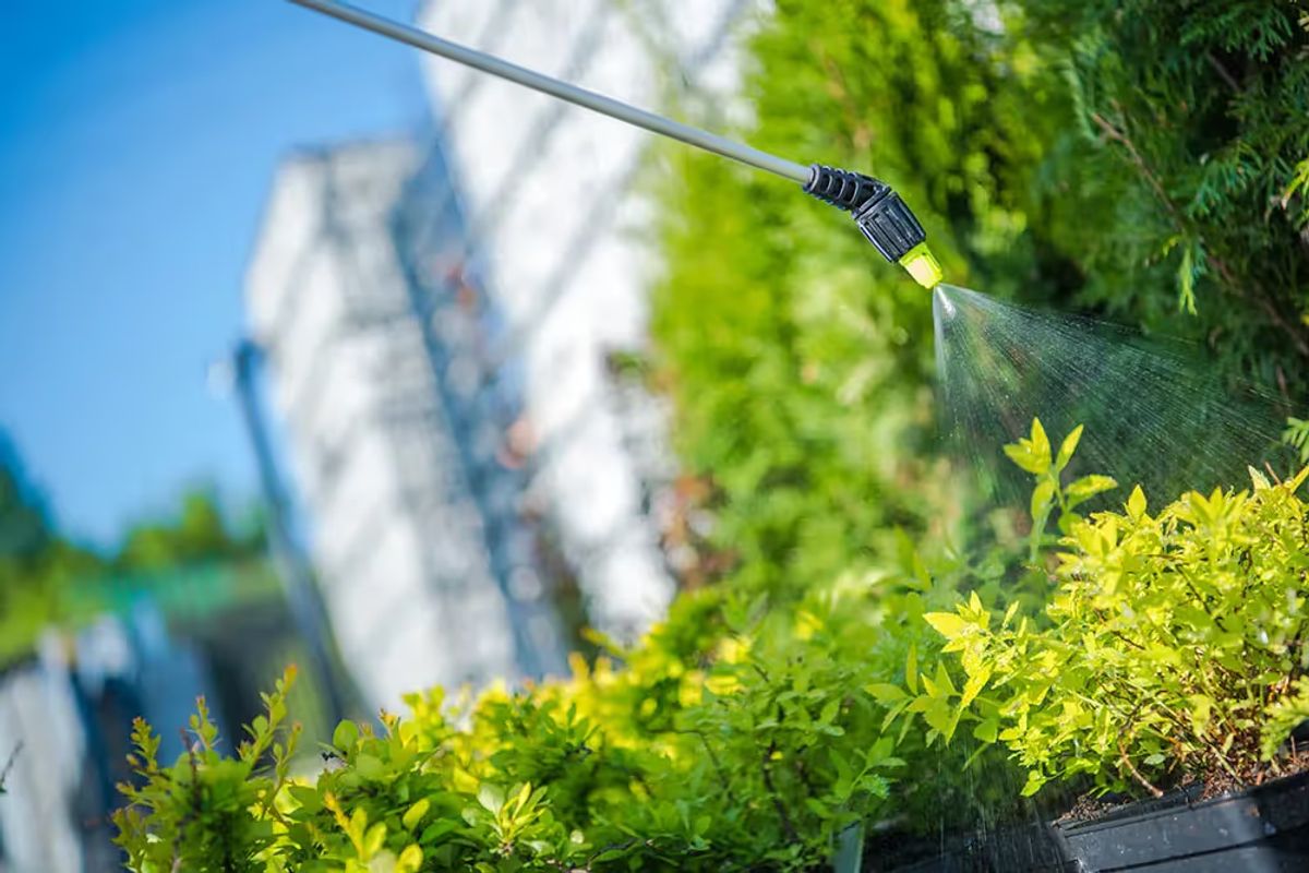 Weed Control