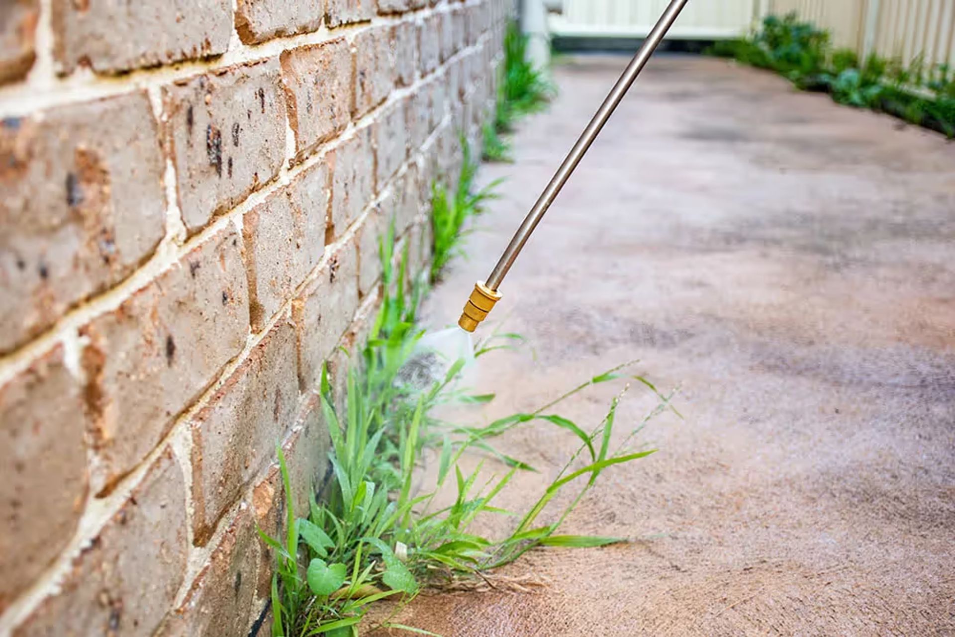 Weed Control