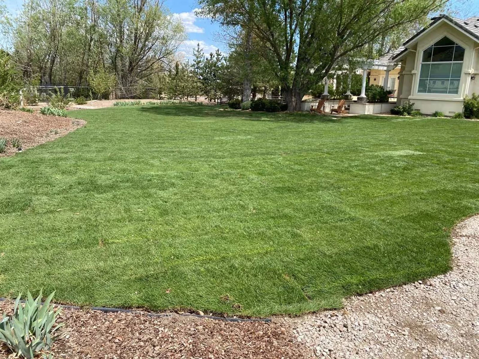 Why Aeration and Dethatching Are Key to Your Lawn’s Health