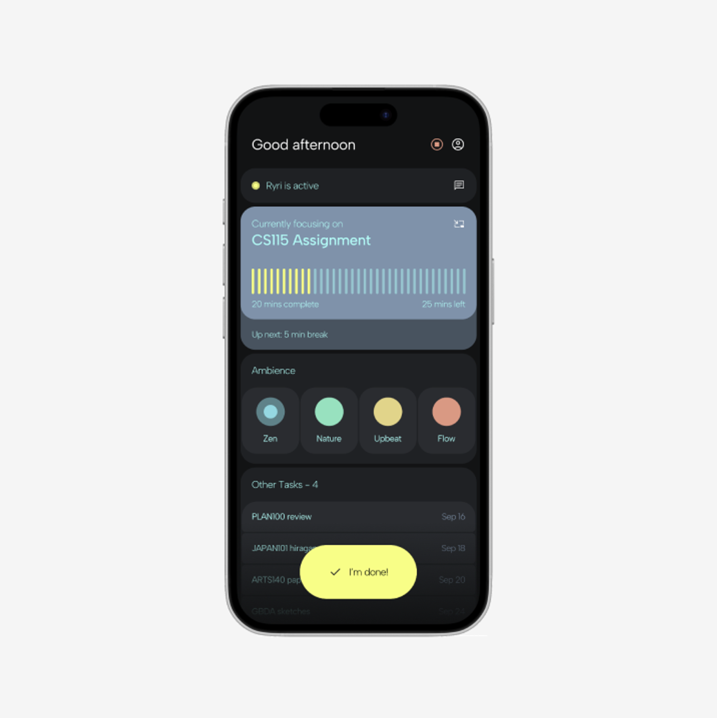 Ryri project interface