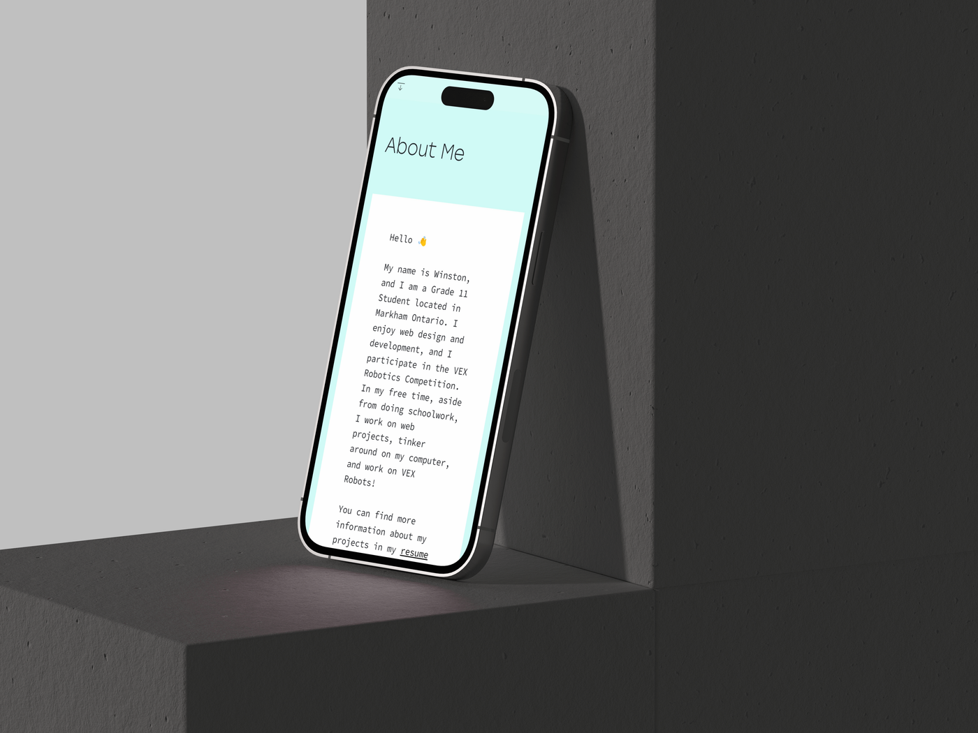 Winstonzhao.ca V1 — Scene 9