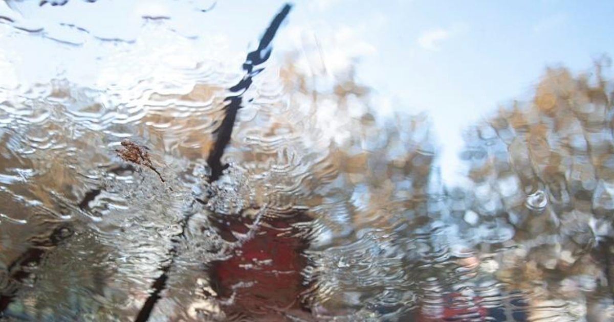 Why Not Replacing Wiper Blades Will Cost You Money