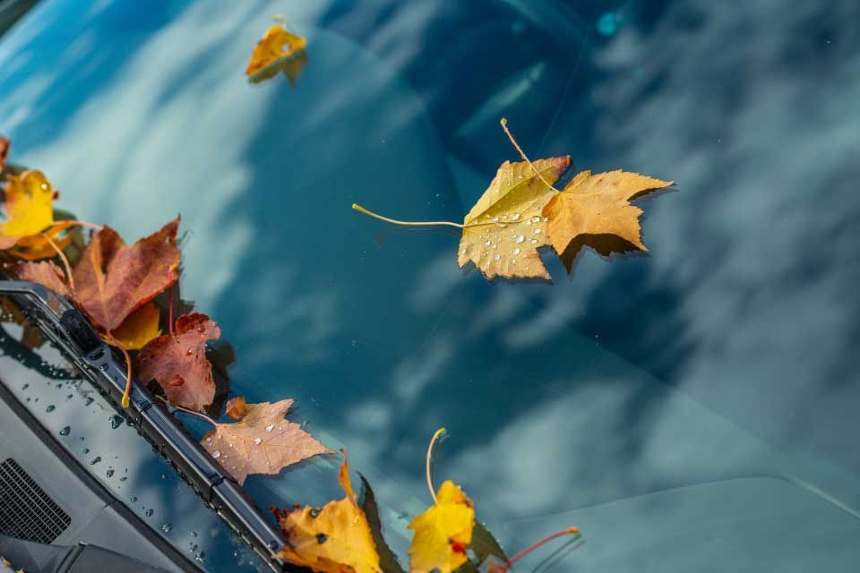 How Do I Clean Windshield Wiper Blades?