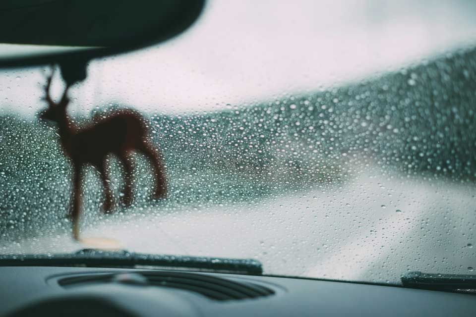 How to Stop Squeaky Windscreen Wipers