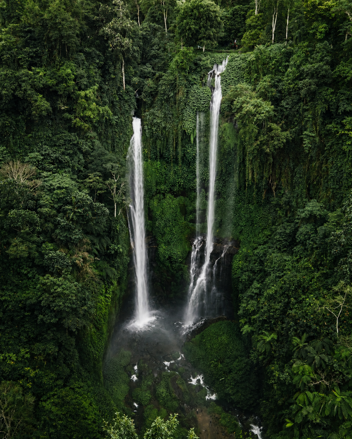 Air Terjun Sekumpul mengalir di antara hutan tropis Bali Utara