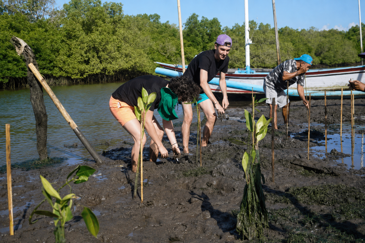 Peserta mengikuti kegiatan penanaman mangrove