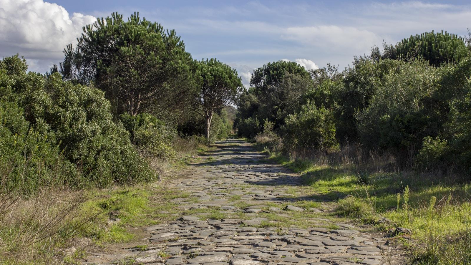 Trecho de antiga estrada romana de pedra entre pinheiros e arbustos