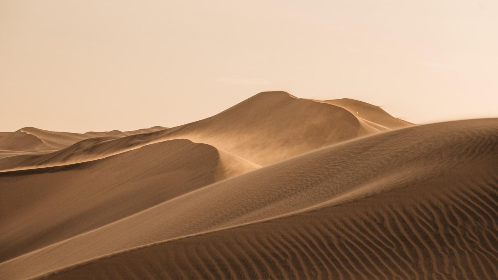 Dunas de areia ondulantes no deserto, sob céu claro