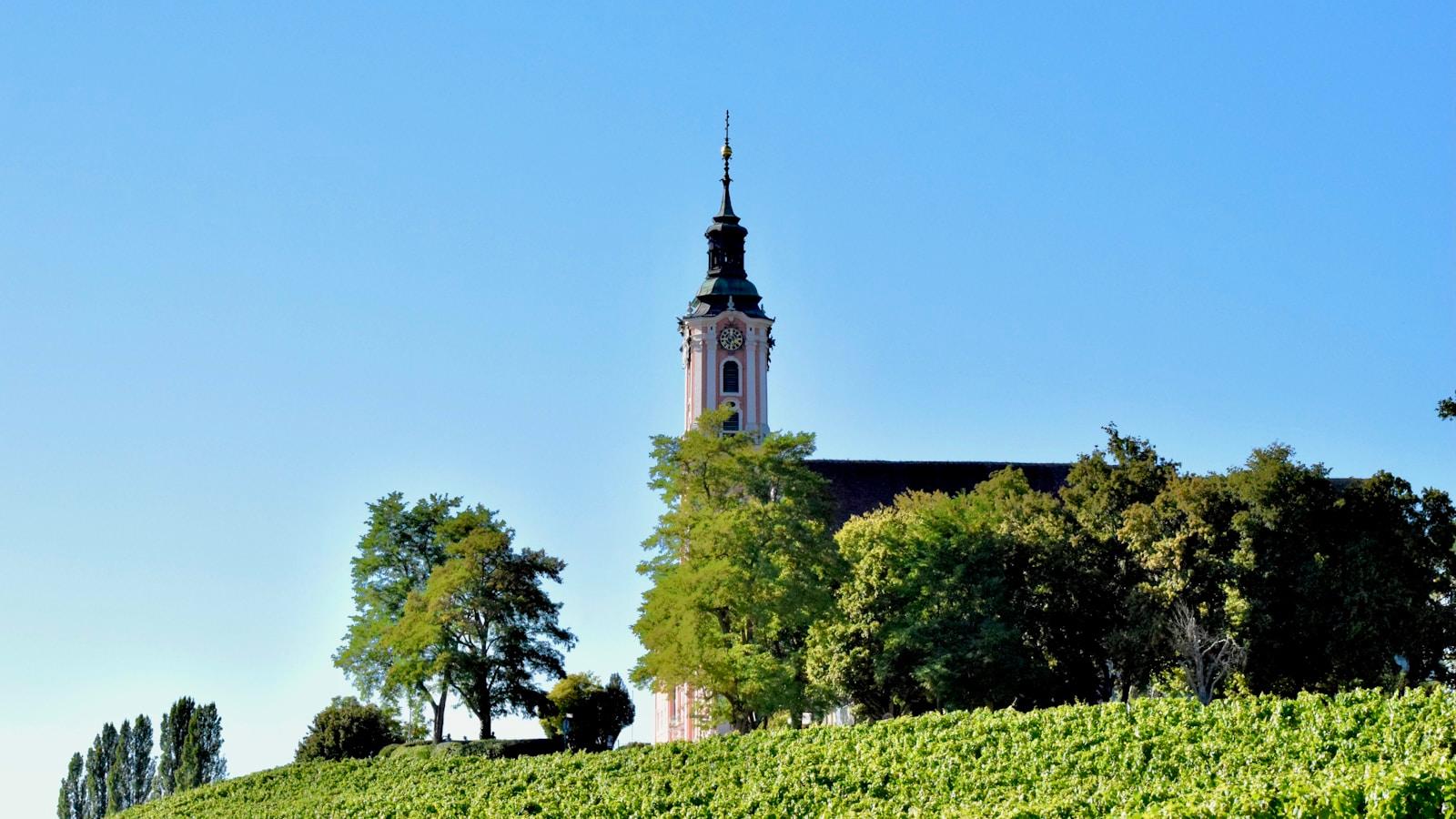 Igreja barroca com torre alta sobre uma colina de vinhas, sob céu azul