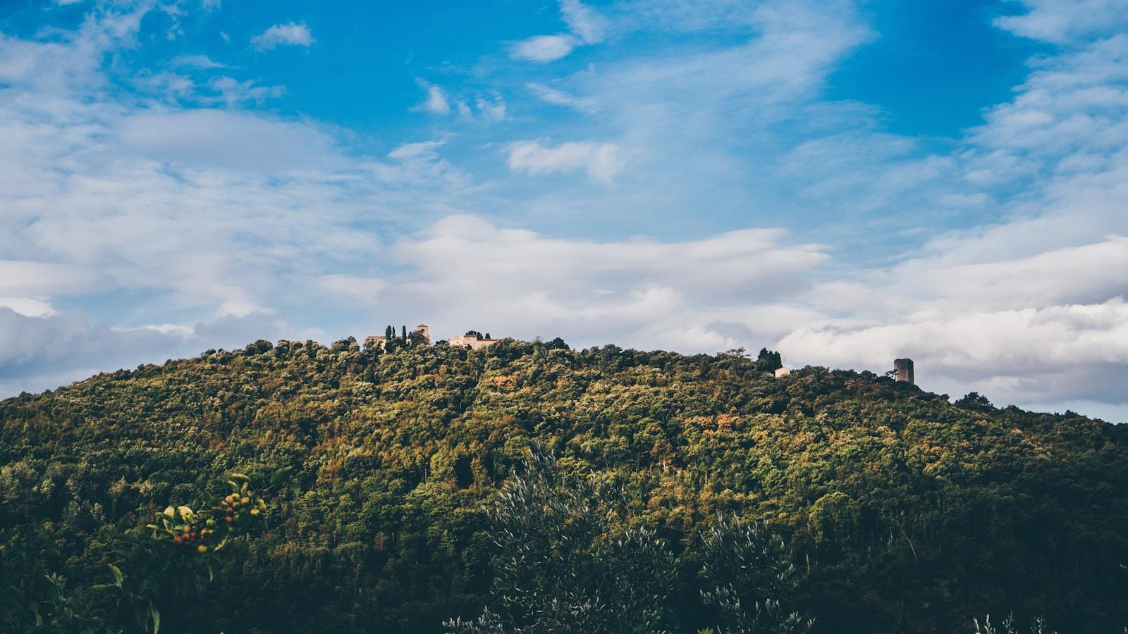 Colina coberta de floresta densa sob céu azul com nuvens