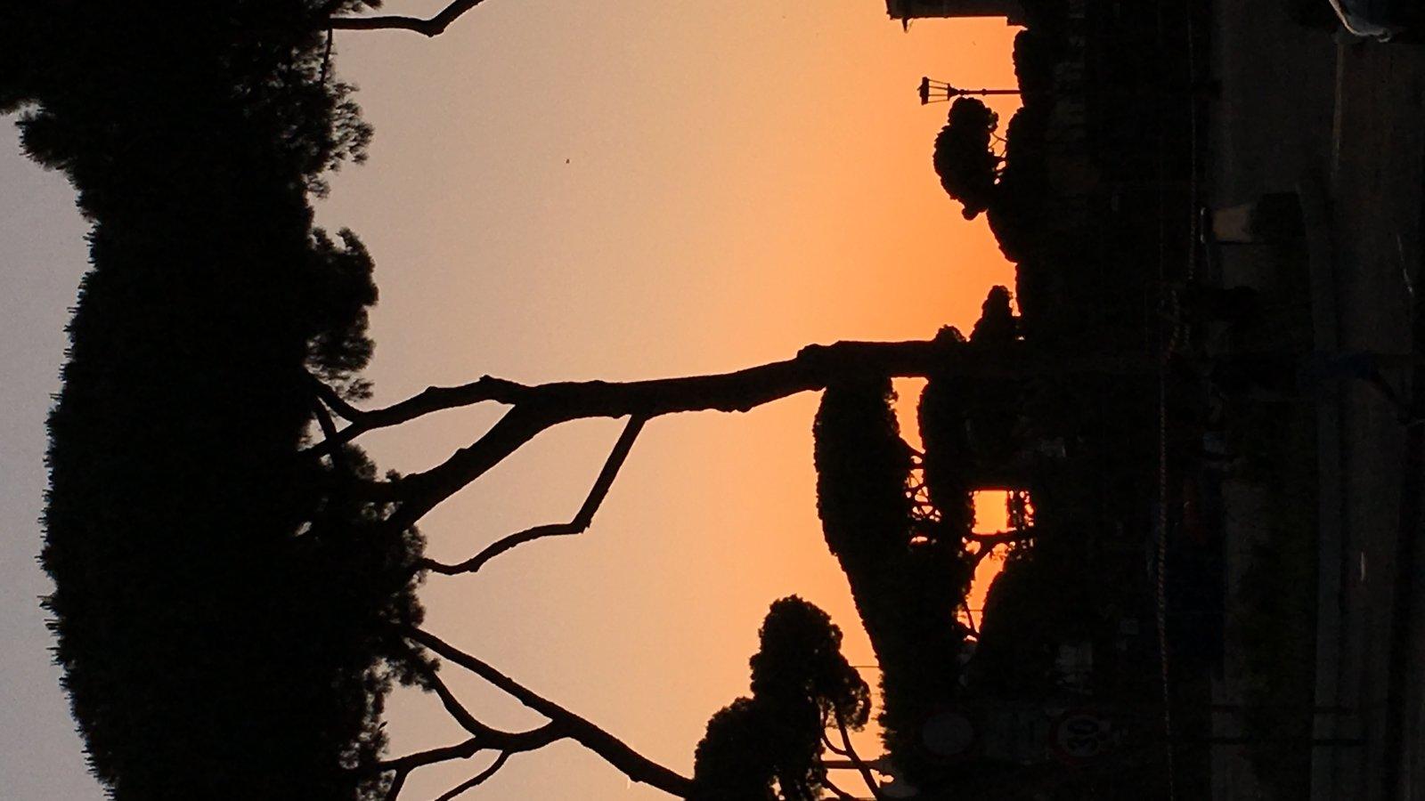Pôr do sol entre pinheiros em Roma, silhuetas contra o céu alaranjado